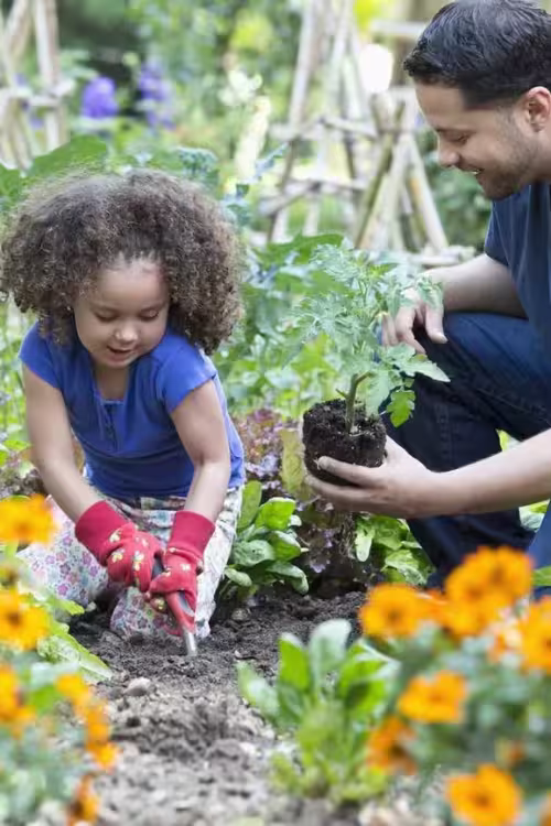 a little girl planting a spring garden with her father as a part of Easter traditions